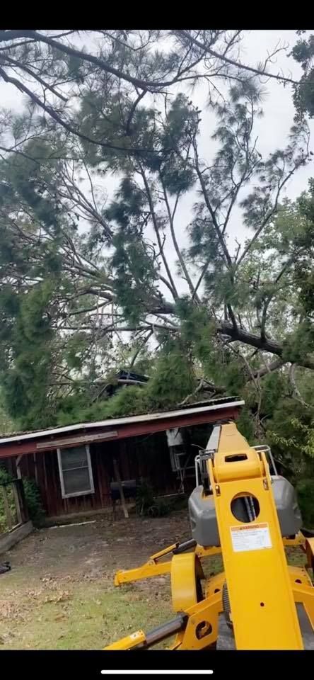 A yellow crane is cutting a tree in front of a house.