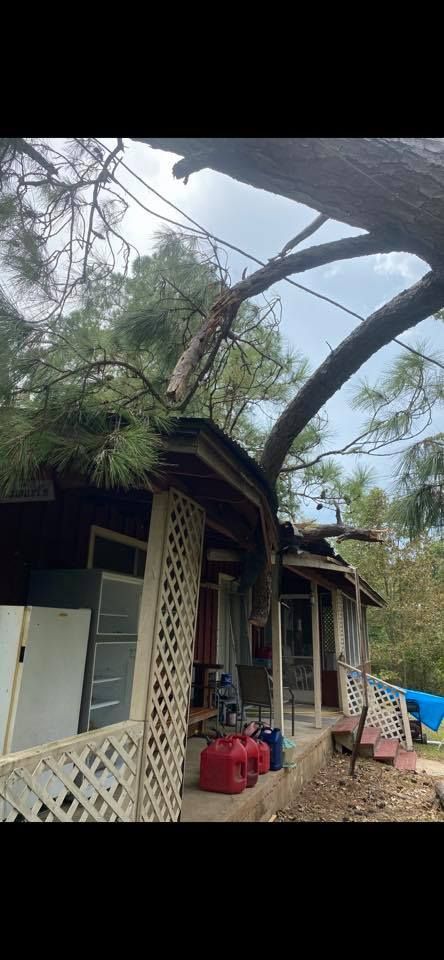A tree has fallen on the roof of a house.