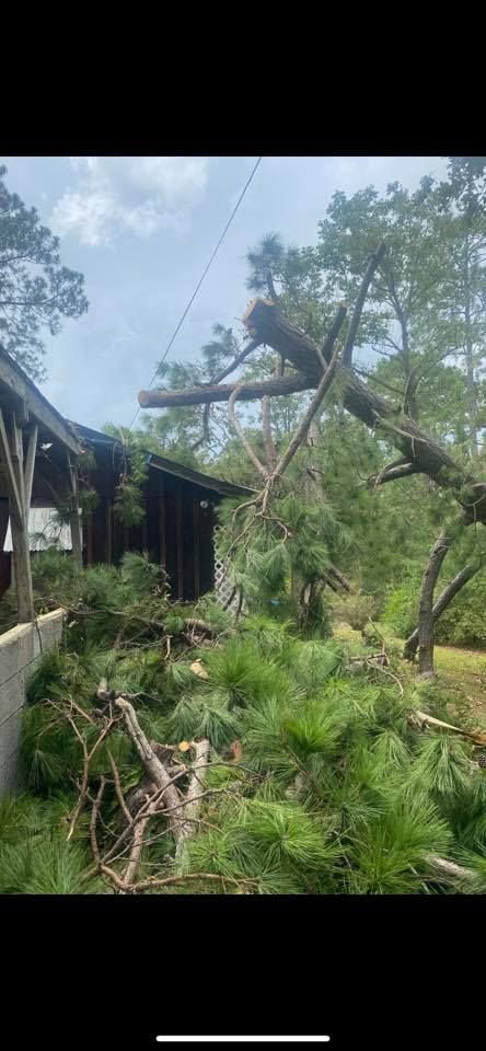 A tree that has fallen on top of a house.