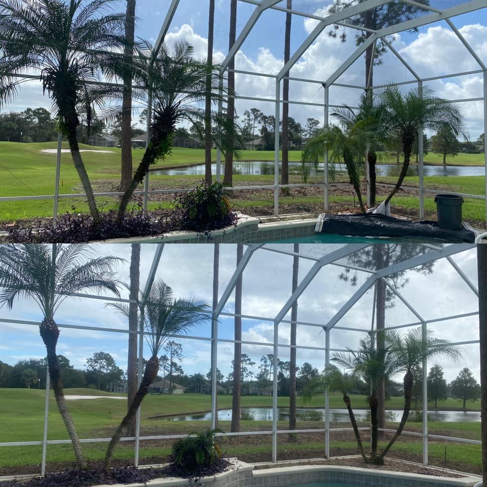 A before and after picture of a screened in area with palm trees and a pool.