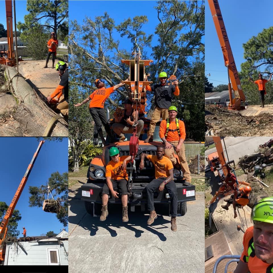A group of men are sitting on top of a truck.