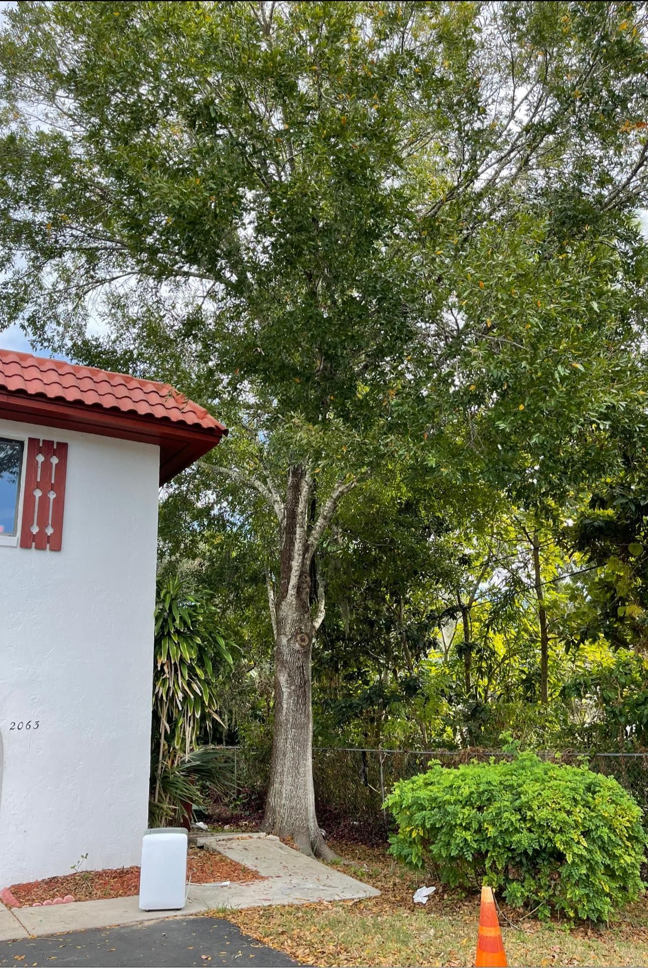 A white building with a red roof is surrounded by trees and bushes.