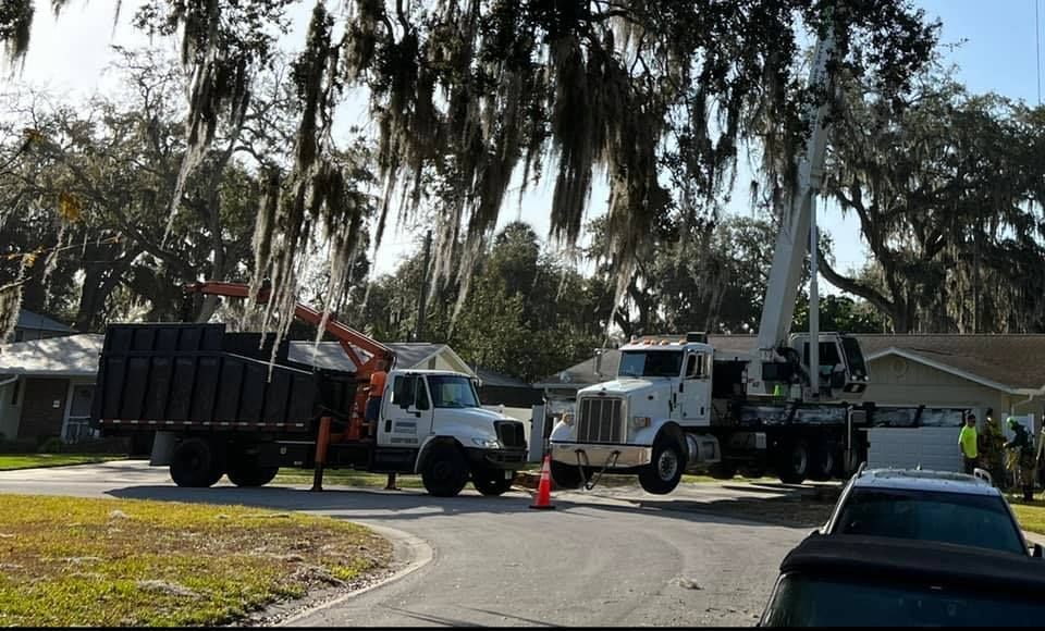 Several trucks are parked on the side of the road