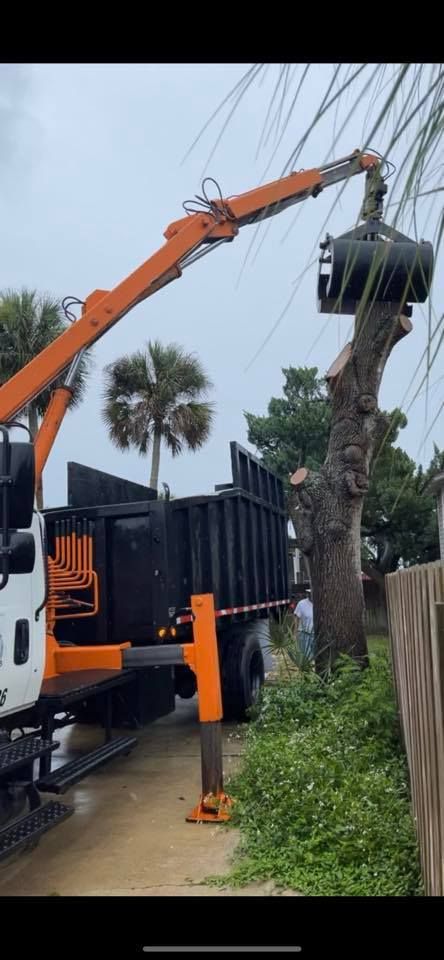 A truck with a crane attached to it is cutting down a tree.