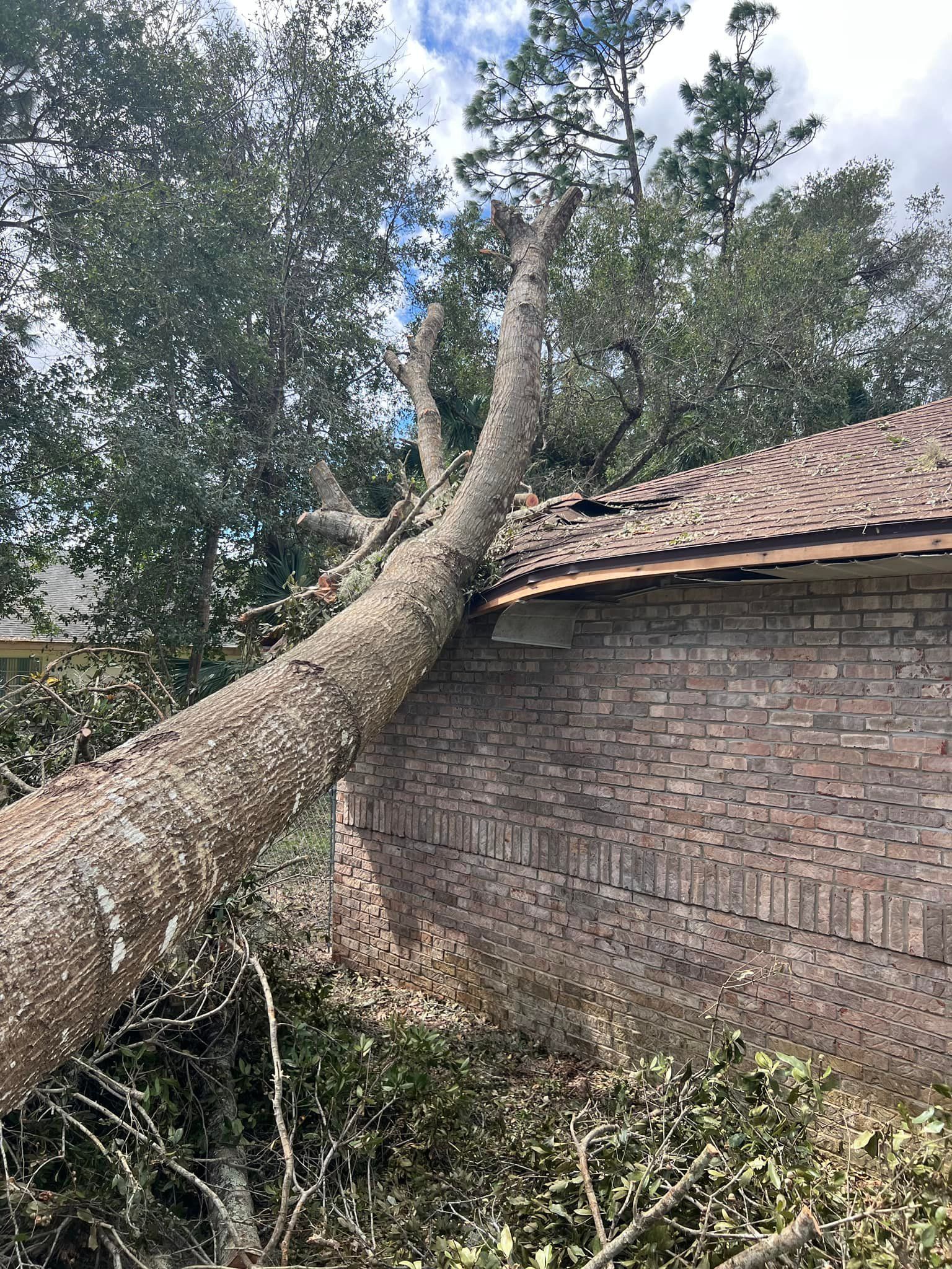 A large tree has fallen on top of a brick building.