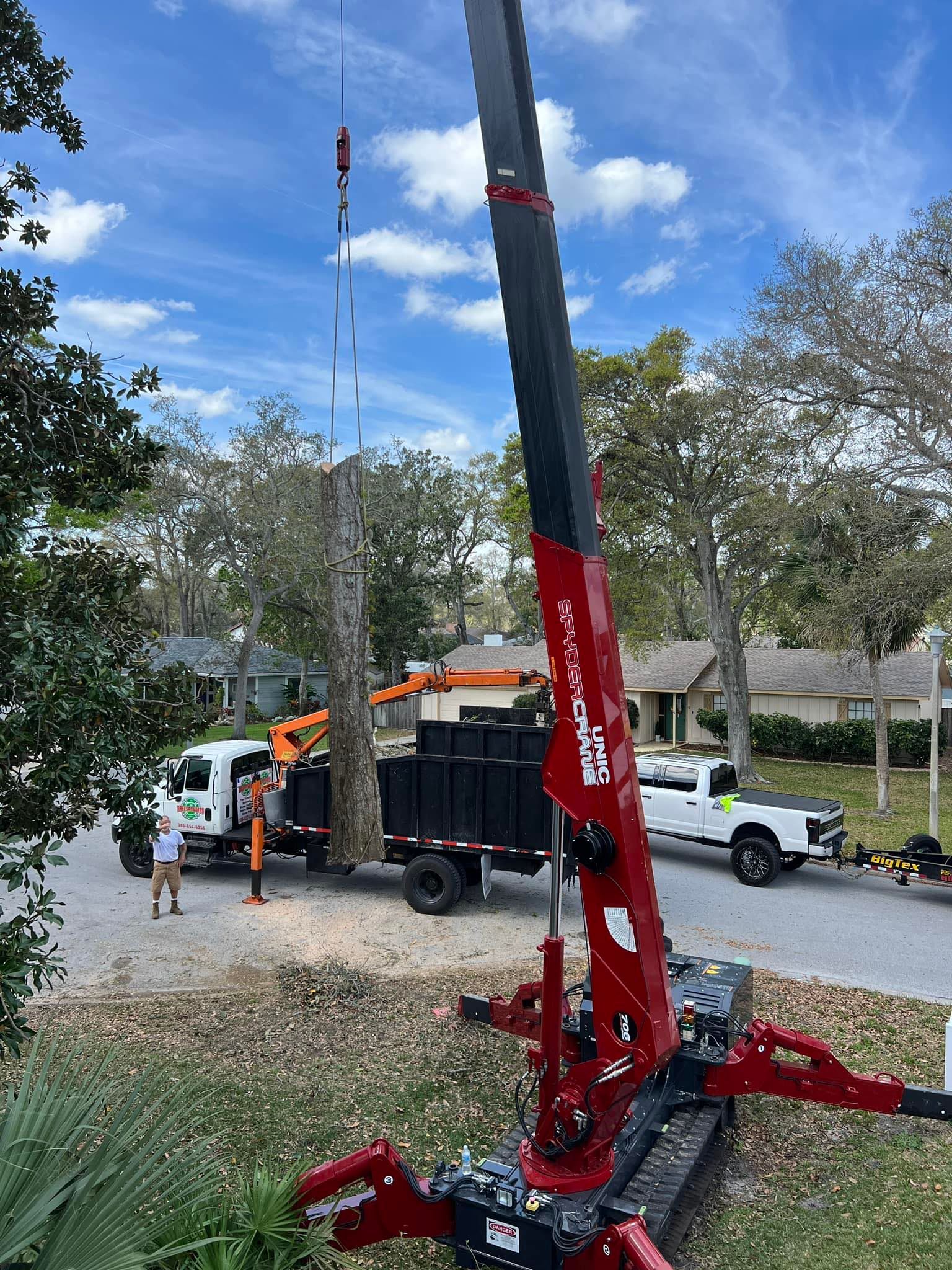 A crane is lifting a tree in a yard.
