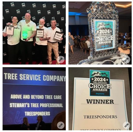 A collage of photos shows a tree service company