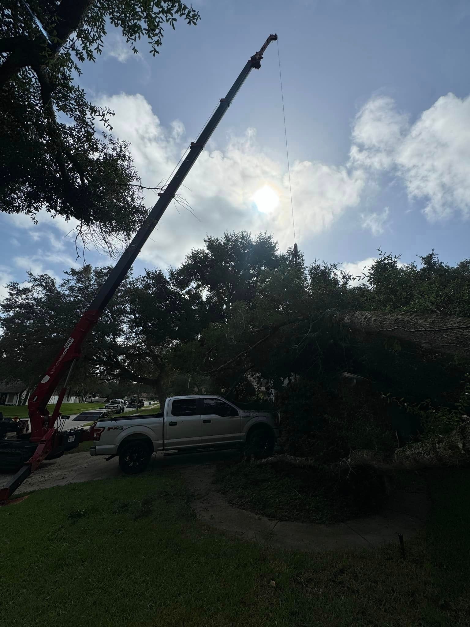 A white truck is parked in front of a tree with a crane attached to it.