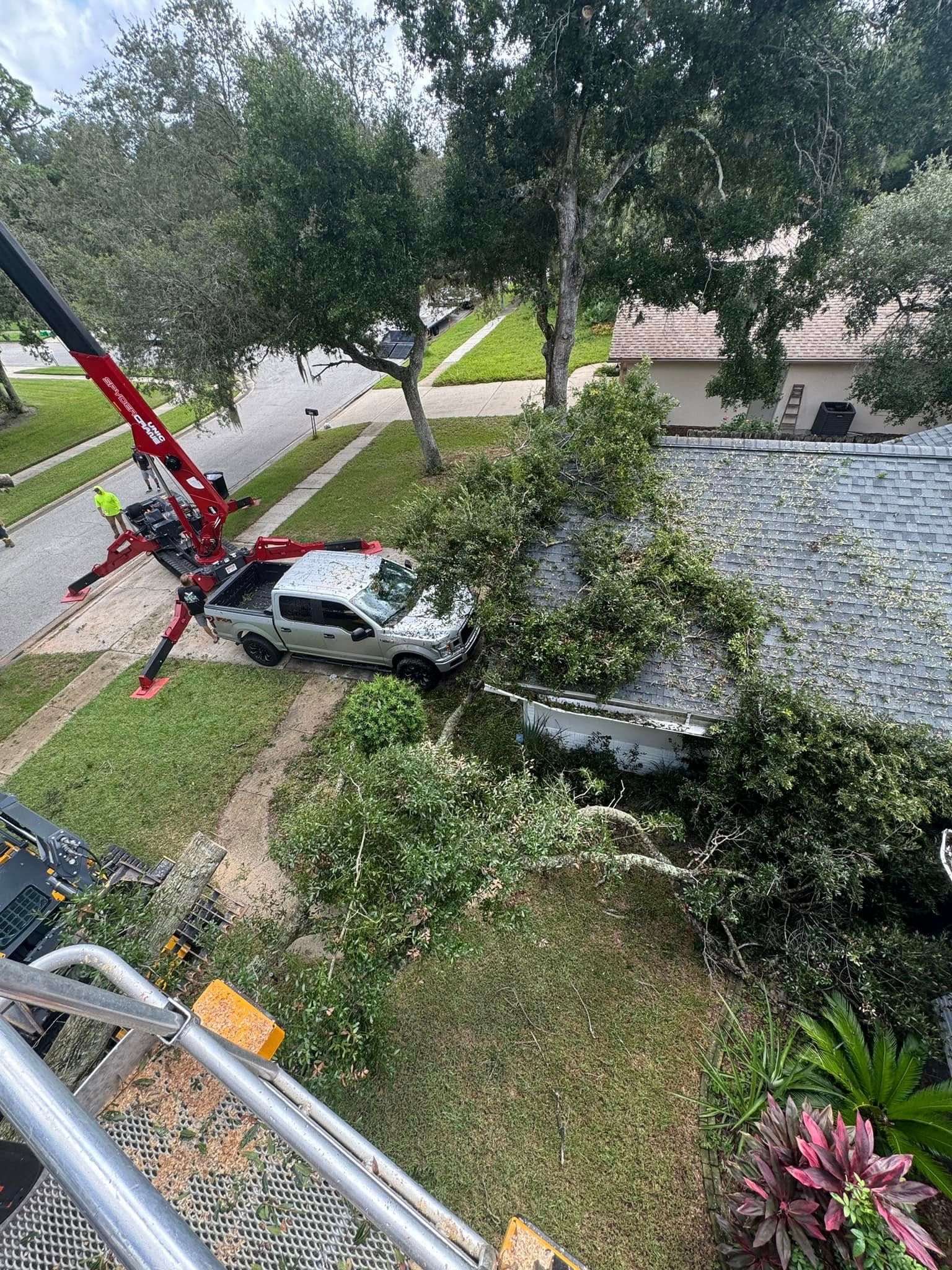 A truck is sitting on top of a tree that has fallen on it.