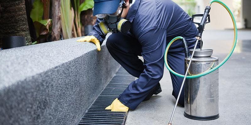 disinfestazione urbana