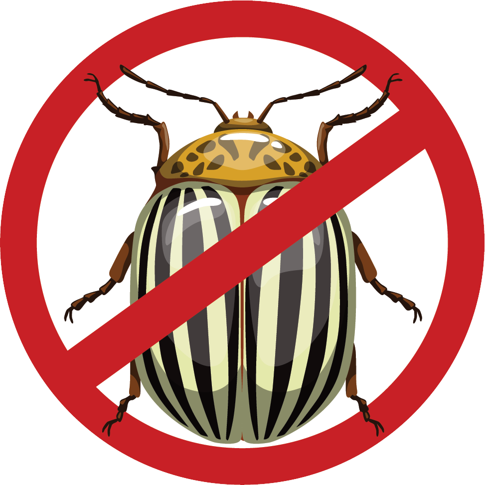 disinfestazione