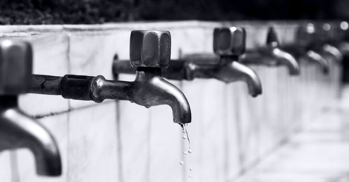 A black and white photo of a row of faucets with water coming out of them.