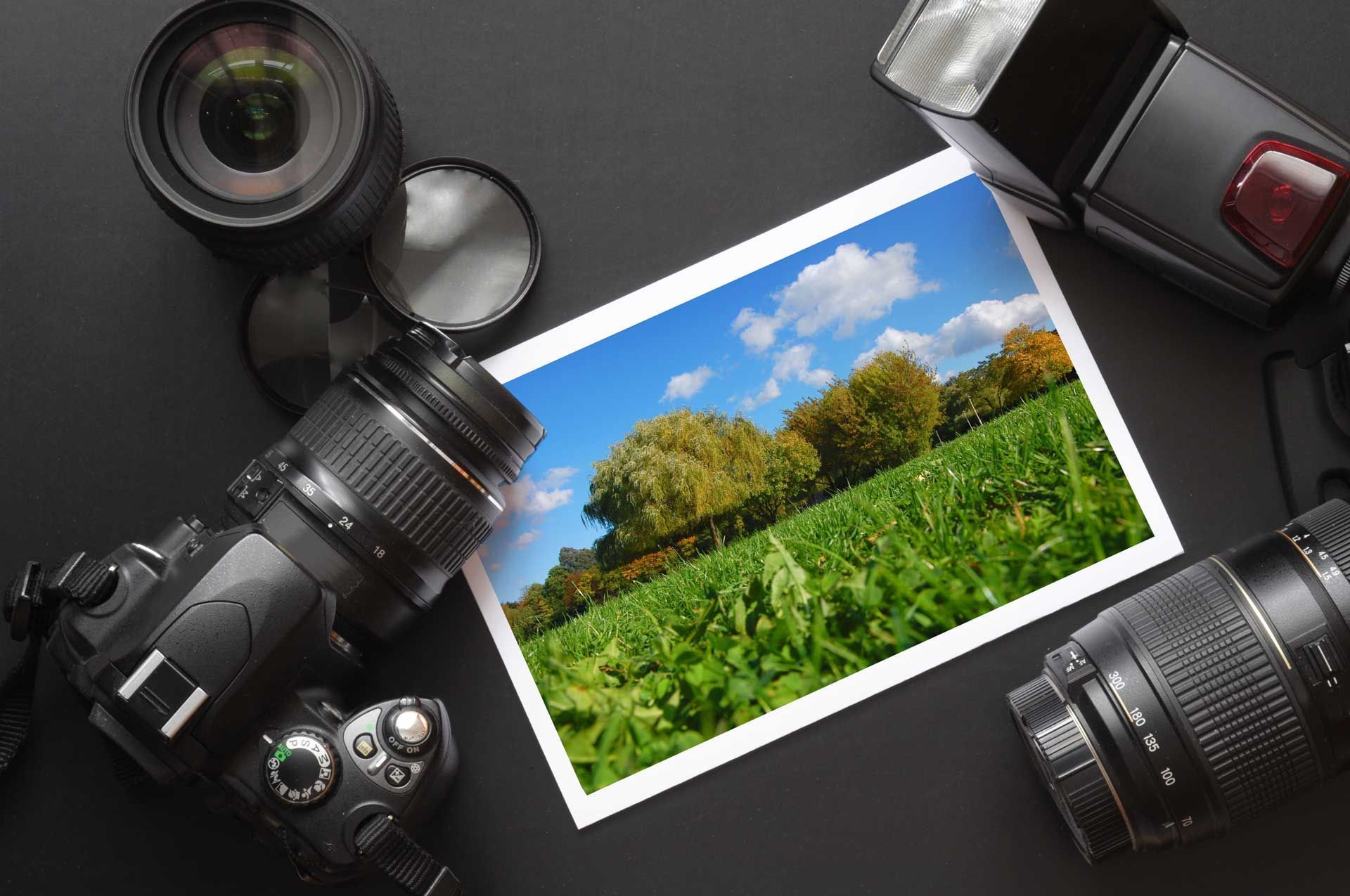 Una imagen de un campo rodeado de lentes de cámara y un flash.