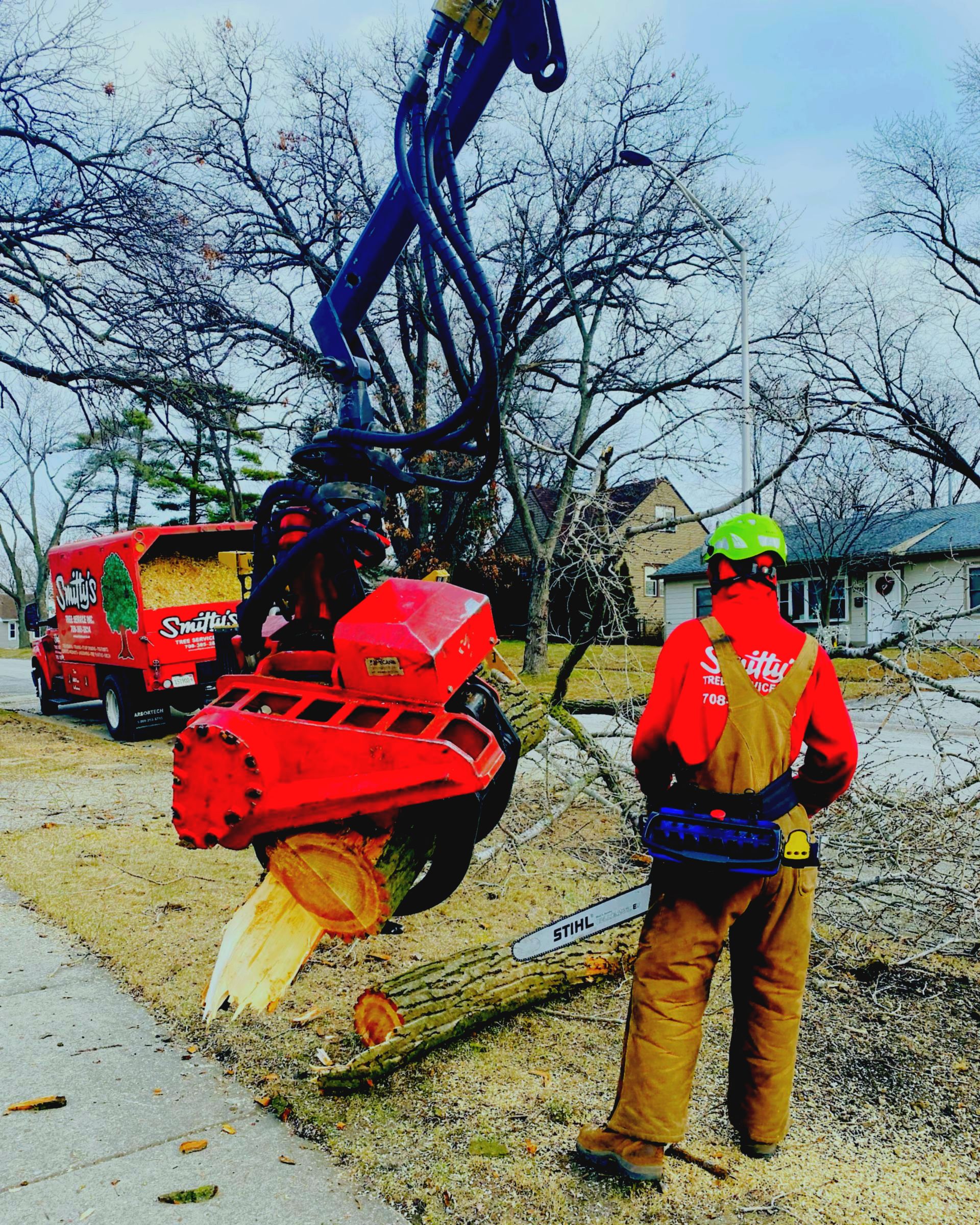 Tree Removal in Chicago & Suburbs Smitty's Tree Service