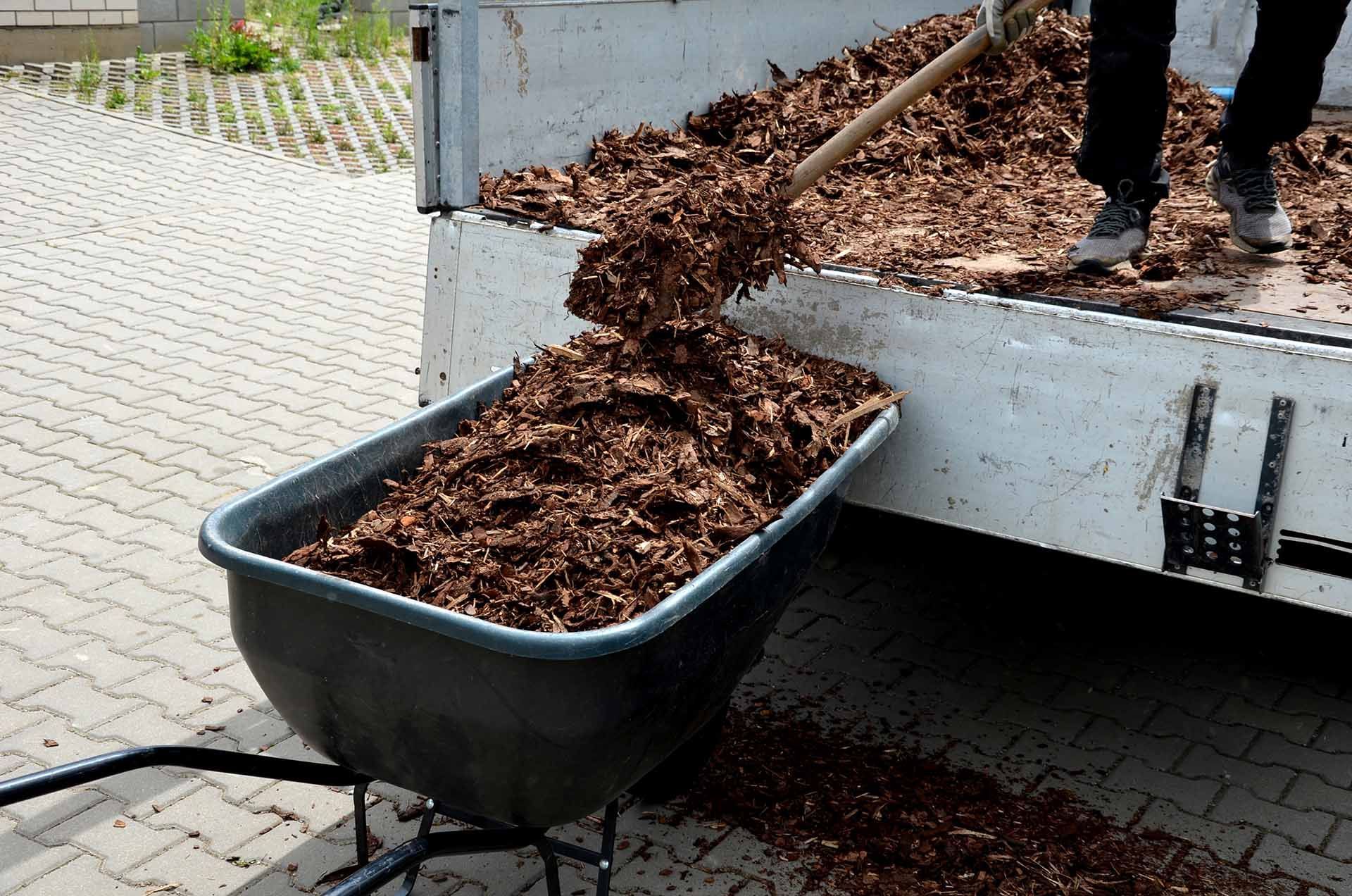 A man is unloading wood chips with a shovel.