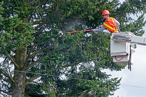 A person in a construction vest and helmet holding a hoe | Tree Services in Frankfort Il | Smitty's 