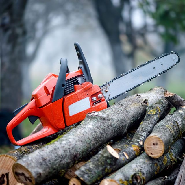 Chainsaw and Branches — Alsip, IL — Smitty’s Tree Service