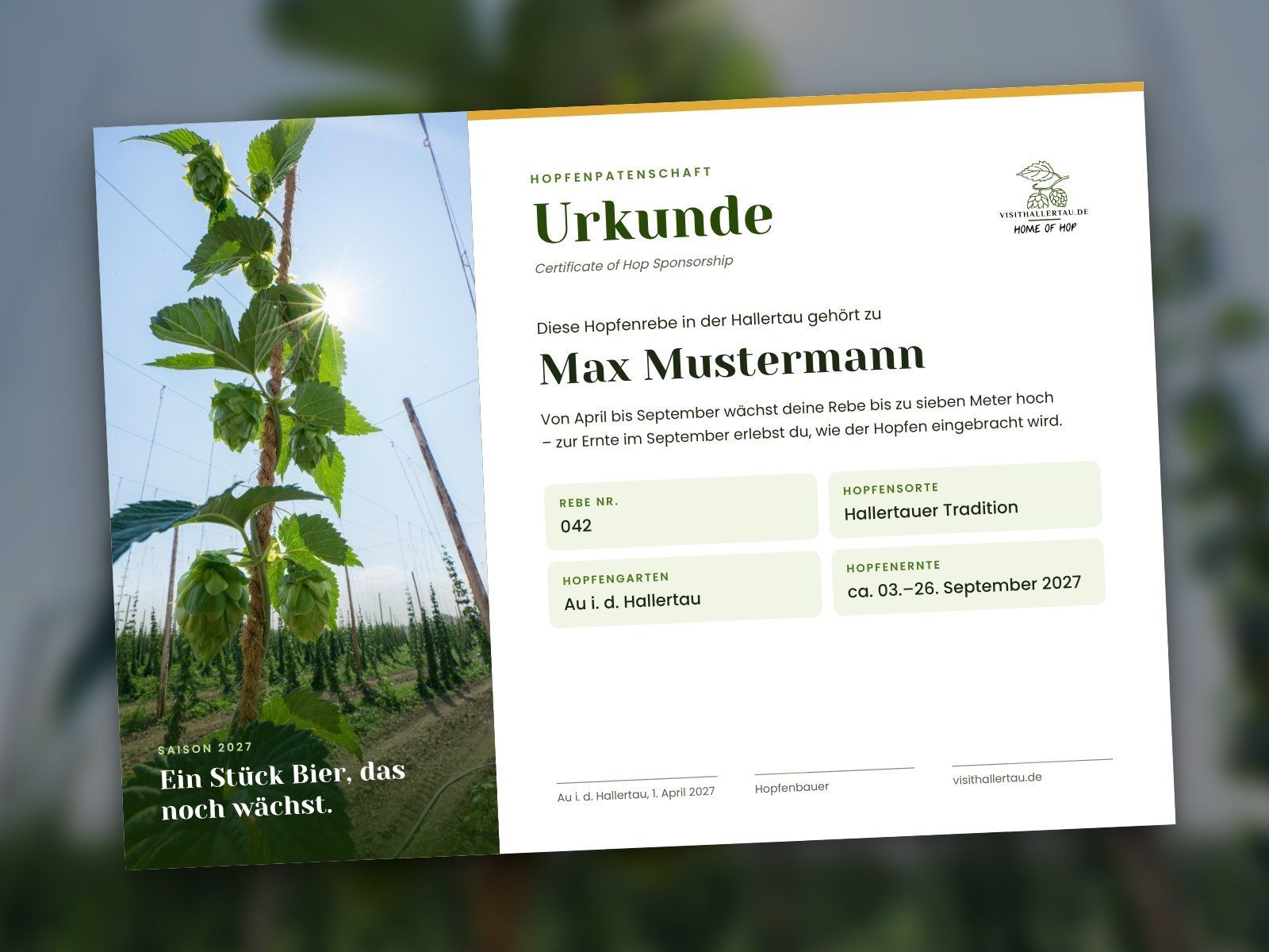 Beispiel einer Patenurkunde der Hopfenpatenschaft Hallertau