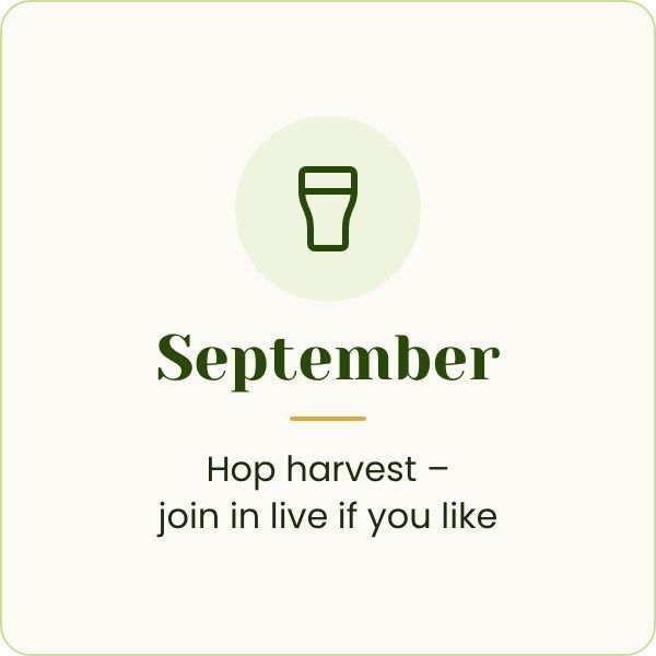 hop harvest, join in live if you like
