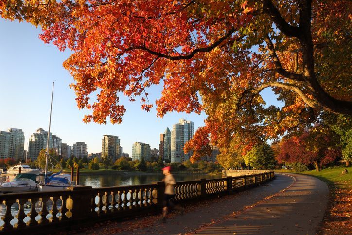 Autumn park scene with colorful leaves, path, water, cityscape background, and runner.