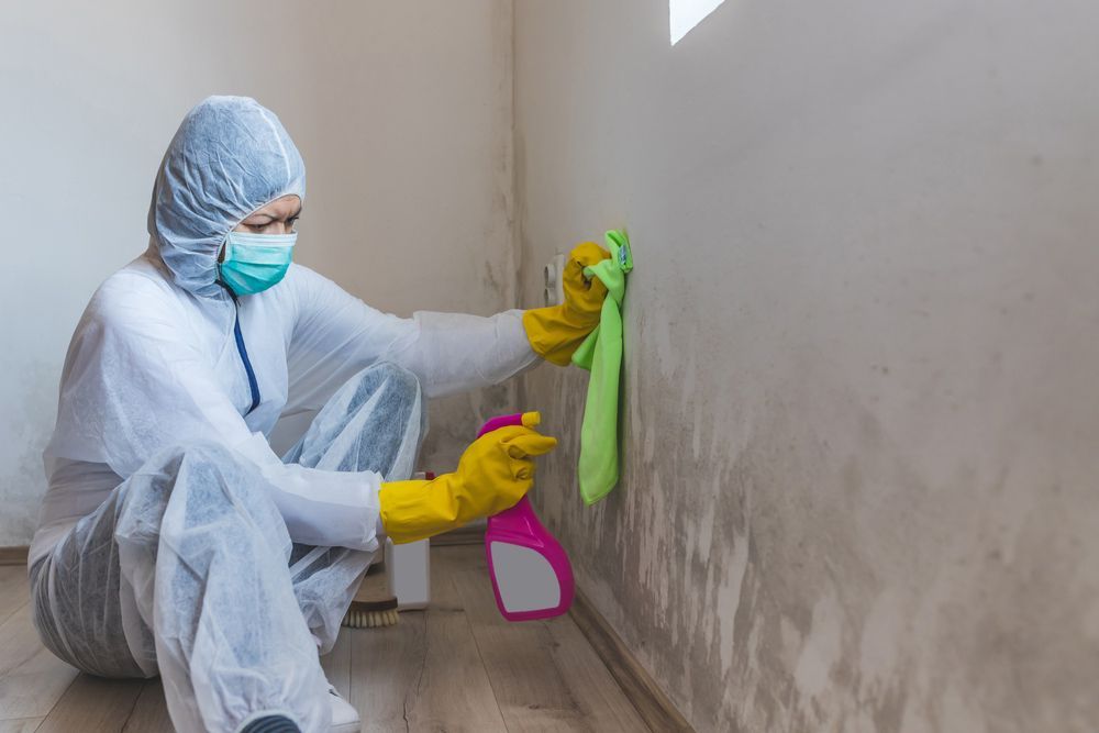 Person in protective suit cleaning moldy wall with spray bottle and cloth.