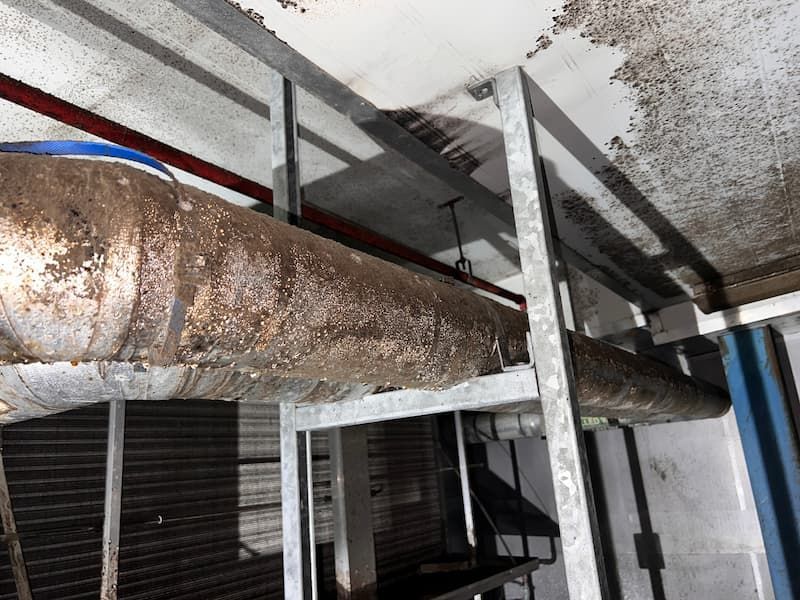 Pipes encased in insulation, heavily corroded, run along a ceiling supported by a metal frame. 