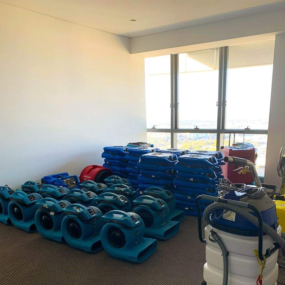 Room with many blue air movers, possibly for flood damage restoration.