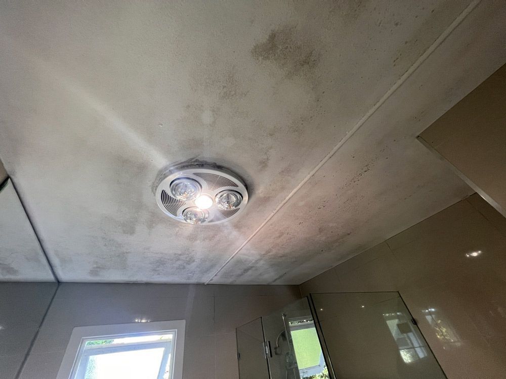 Bathroom ceiling with dark mold spots and a recessed light fixture.