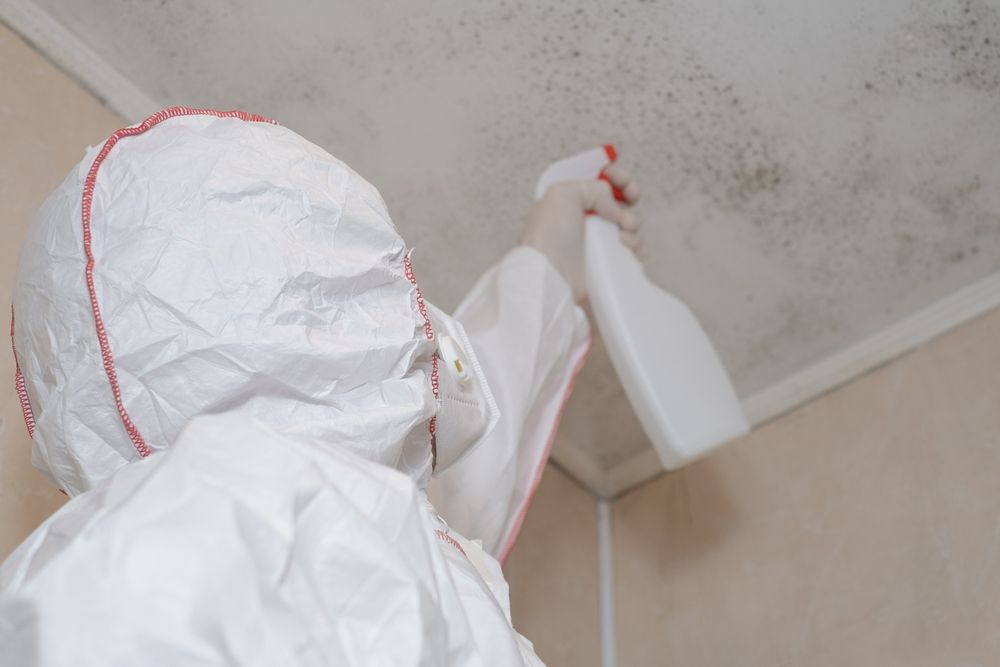 Person in protective suit spraying a moldy ceiling.