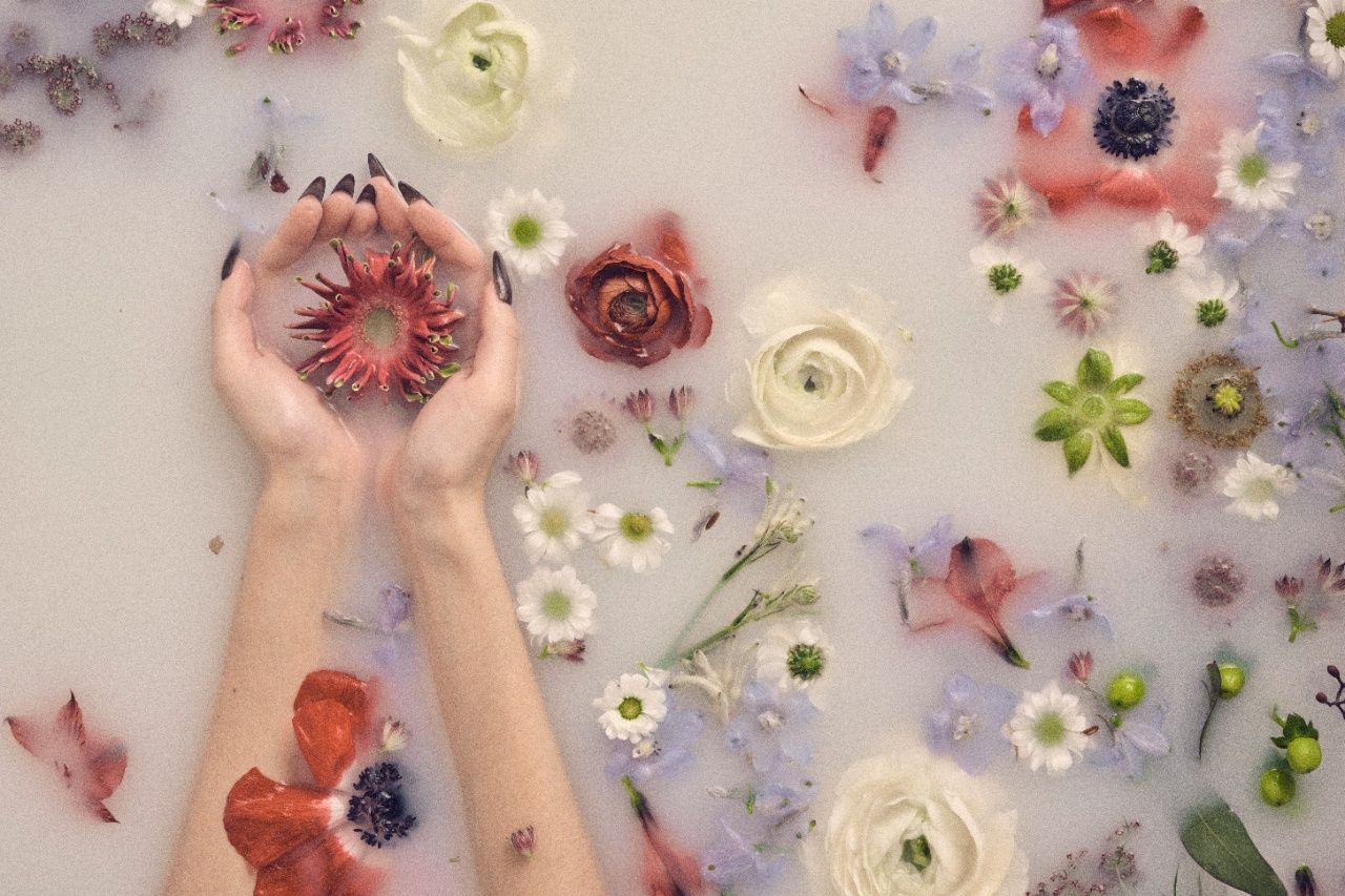 hand holding flowers