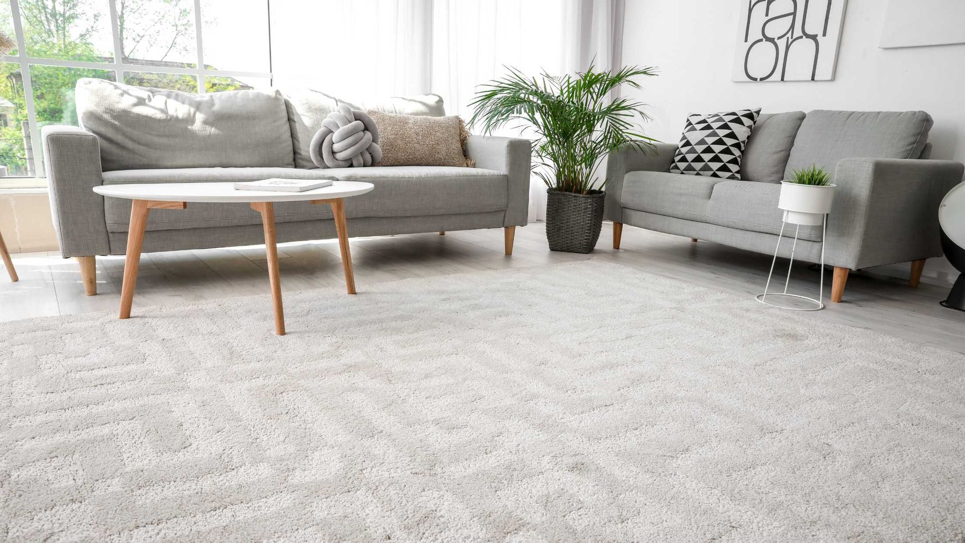 Bright living room with gray sofas, coffee table, potted plant, and large light carpet