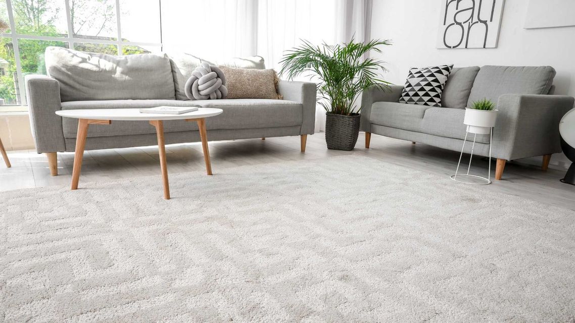 Bright living room with gray sofas, coffee table, potted plant, and large light carpet