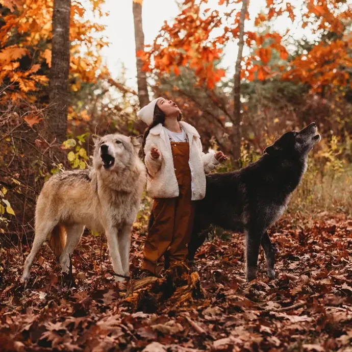Person standing with two large dogs in an autumn forest, surrounded by orange leaves.