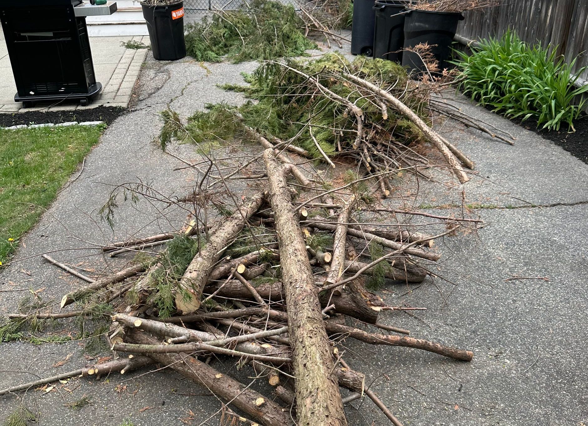 Shrub Removal Wakefield, MA