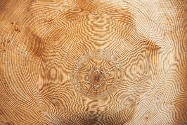 legno
