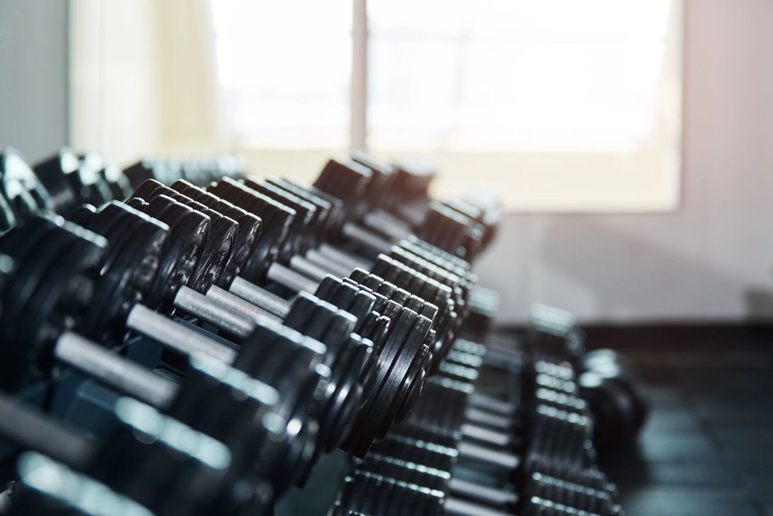 File di manubri neri allineati in una palestra luminosa vicino a una finestra