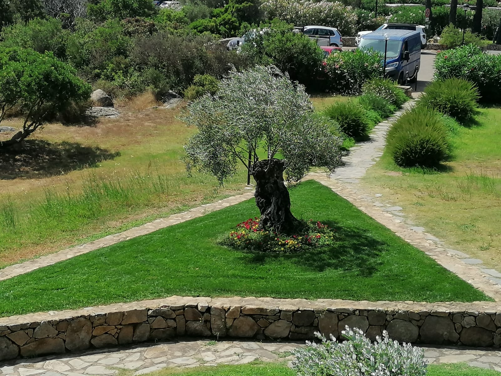 giardino