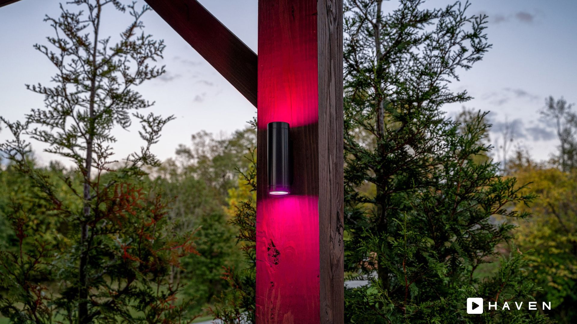 A red light is on a wooden post in the woods.