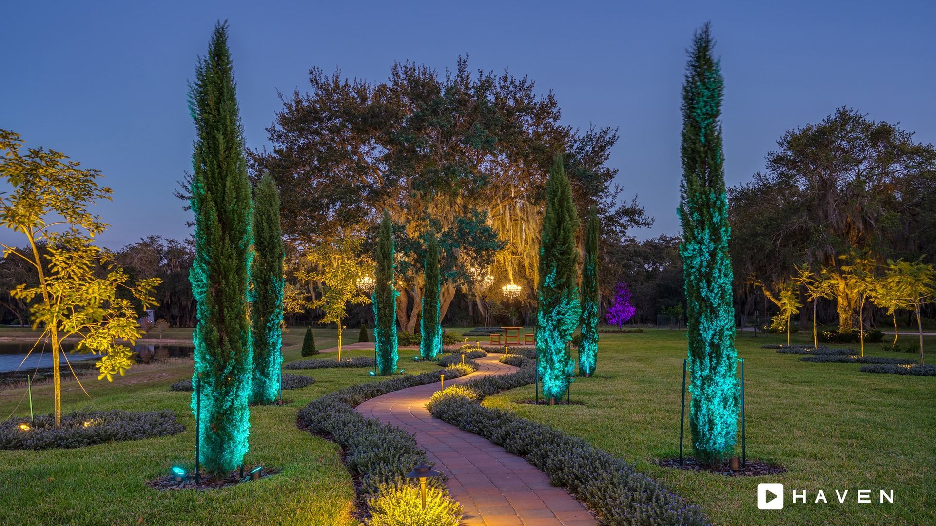 A path in a park with trees lit up at night
