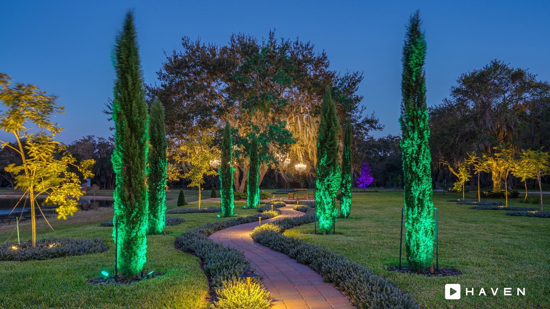 A path in a park with trees lit up at night