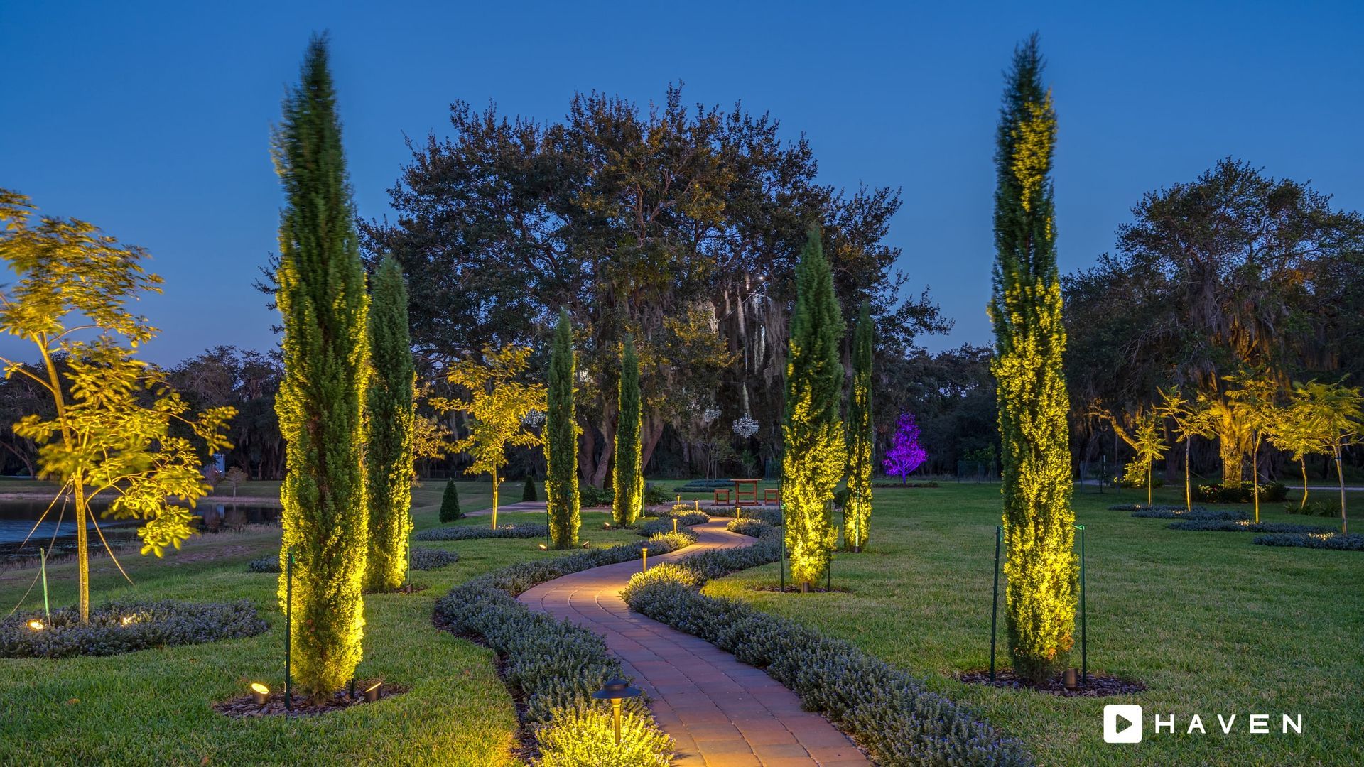 A path in a park with trees lit up at night.