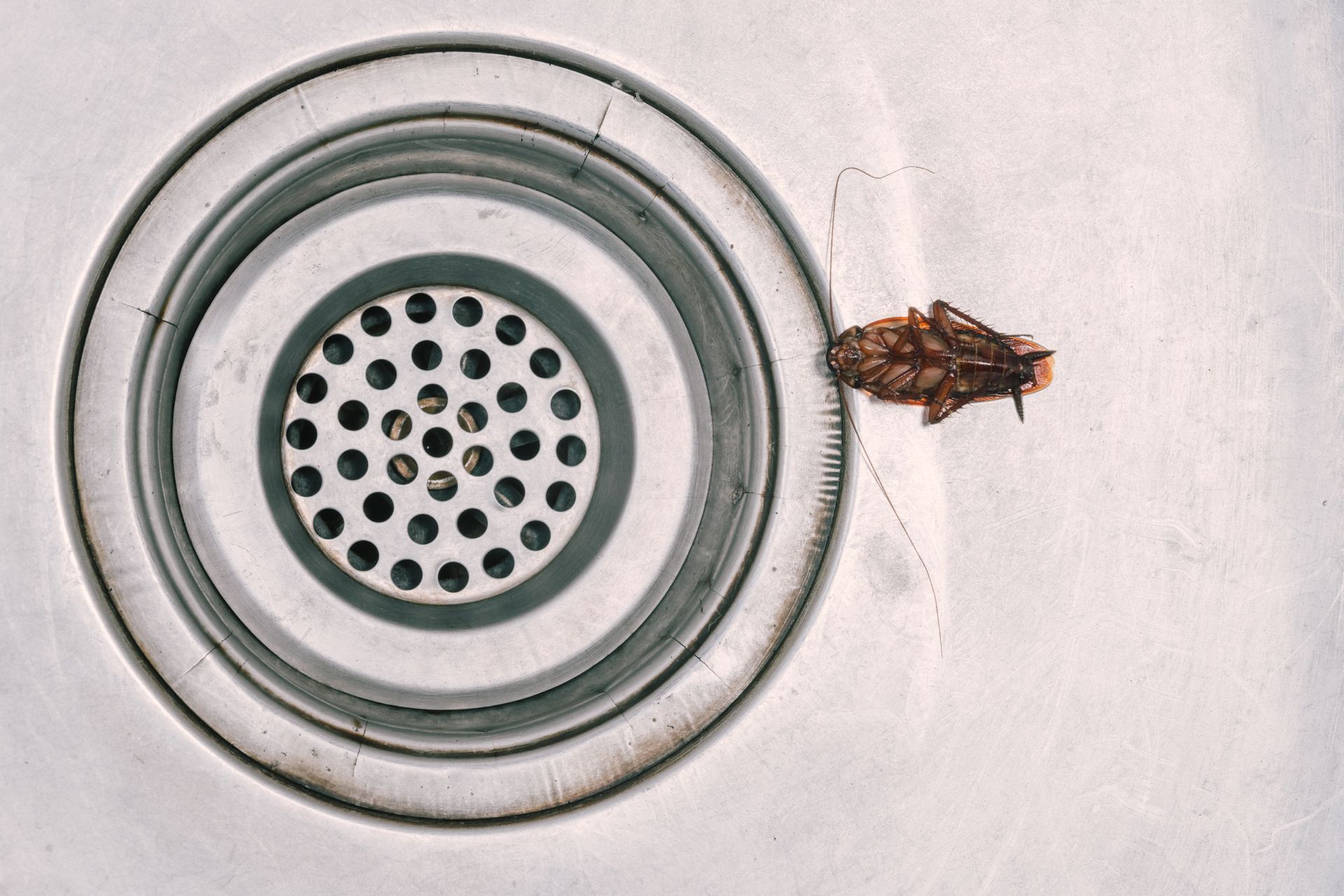 Residential Services — Abilene, KS  — Abilene Termite & Pest Control