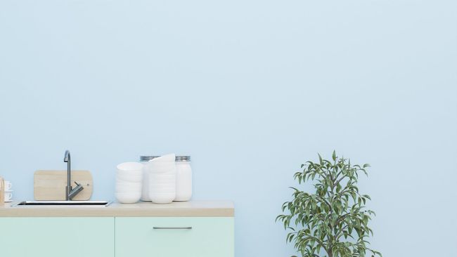 Minimal kitchen counter with sink, white canisters, and a potted plant against a pale blue wall
