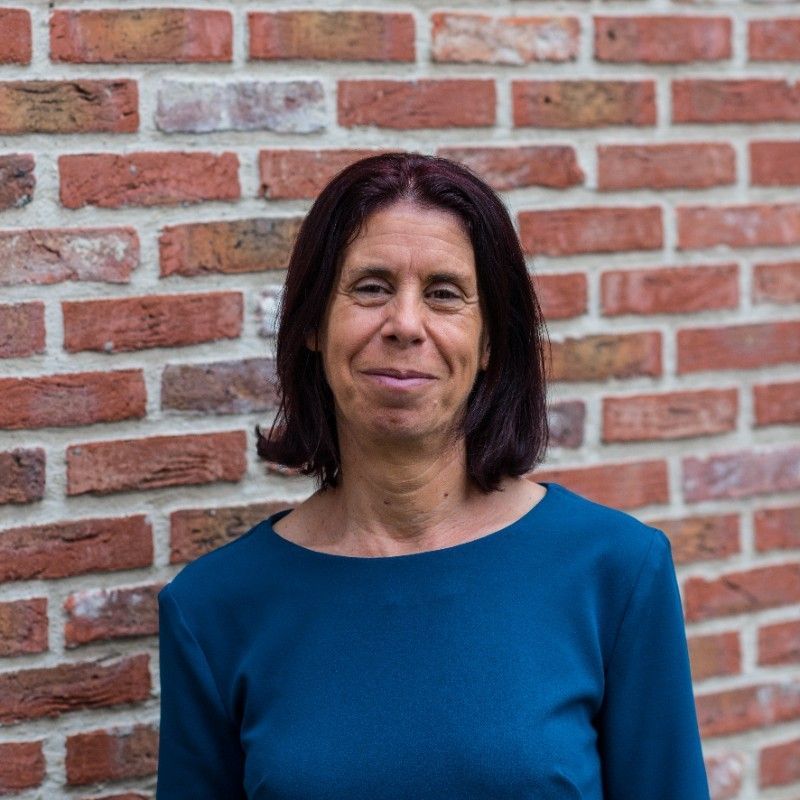 Diane De Wyngaert