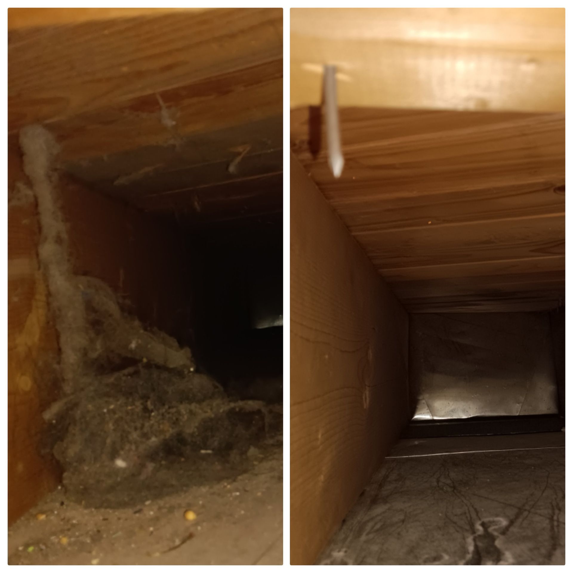 Inside a wooden air duct, showing dust, debris, and a dark opening at the far end