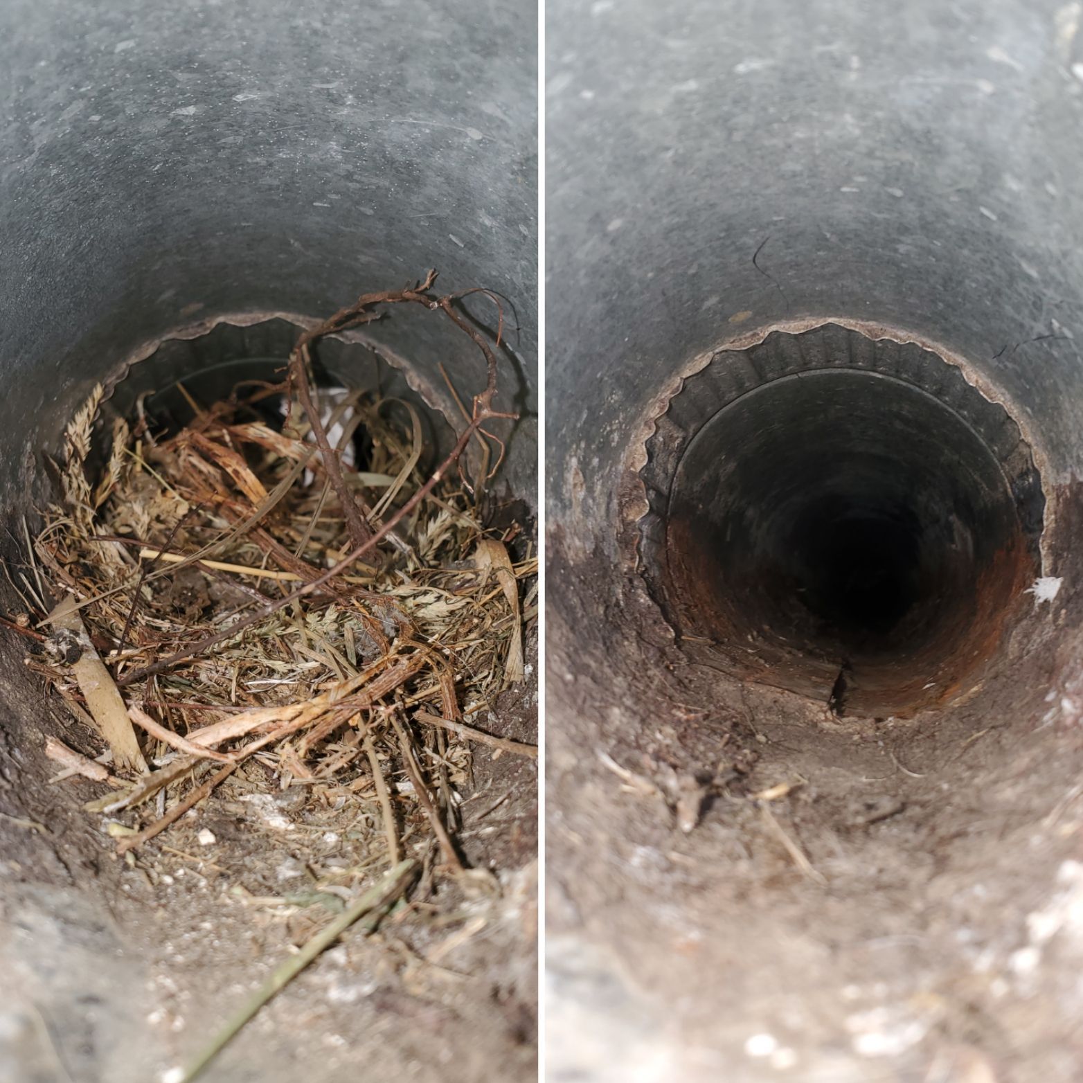 Two views of a rusted metal pipe: one clogged with twigs and debris, the other clear and dark inside.