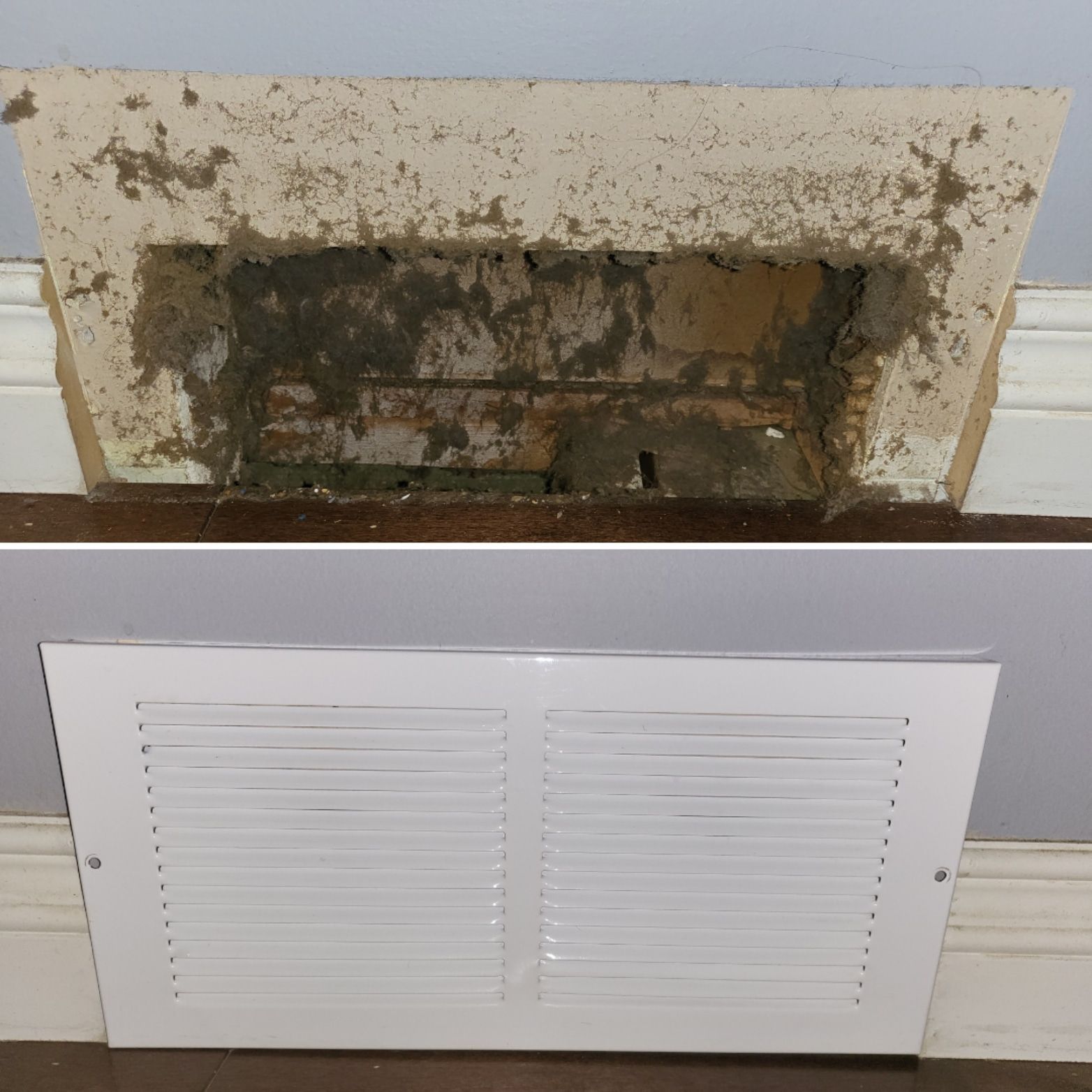 Damaged wall vent with mold above a clean white louvered vent cover