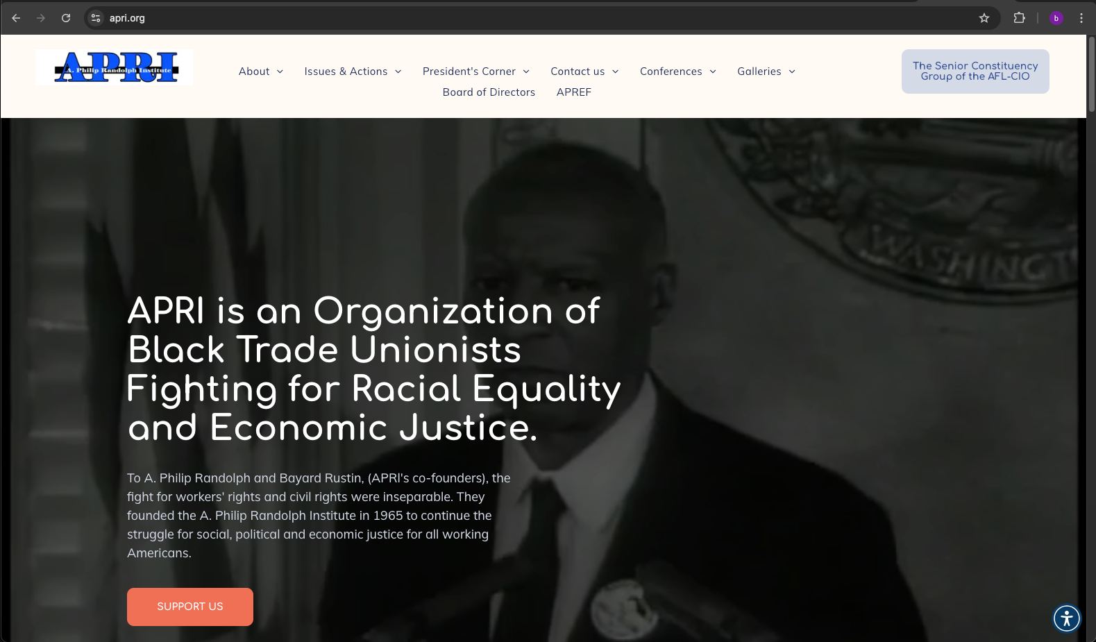 APRI.ORG website thumbnail