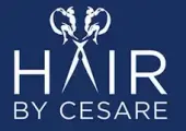 Hair By Cesare, Inc. Hair By Cesare, Inc.