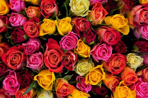 Bouquet colorato di rose nei toni del rosso, rosa, giallo e crema